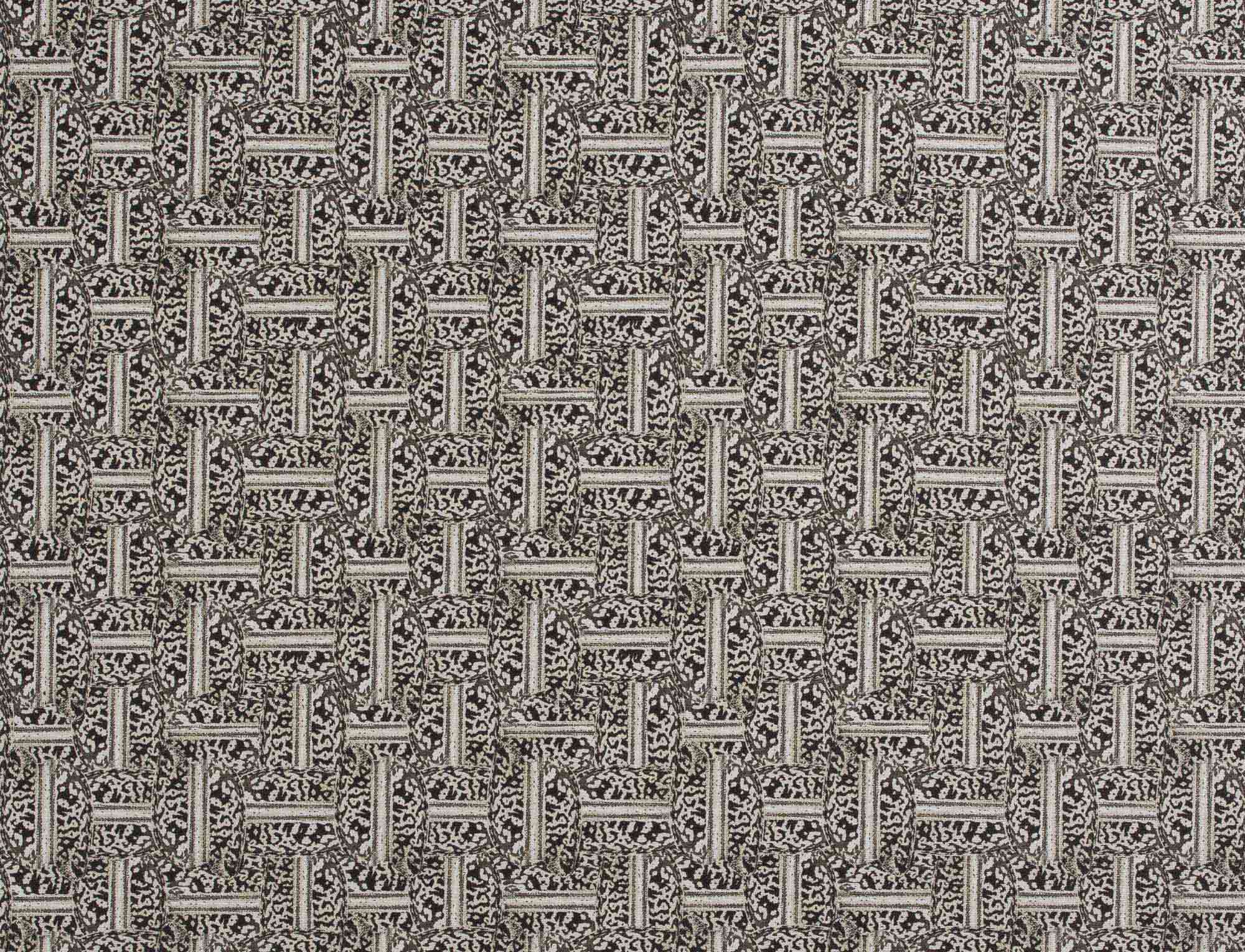 Beetle Backs Fabric in Onyx